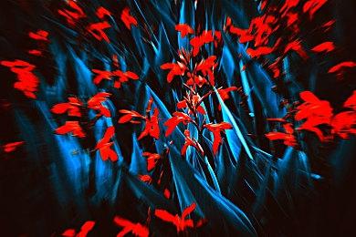 《艾尔登法环》媒体赞誉宣传片 满分刷屏